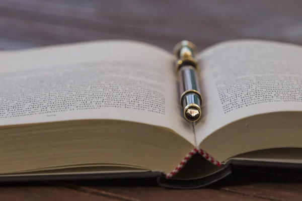 dolma kalem ile açık kitap