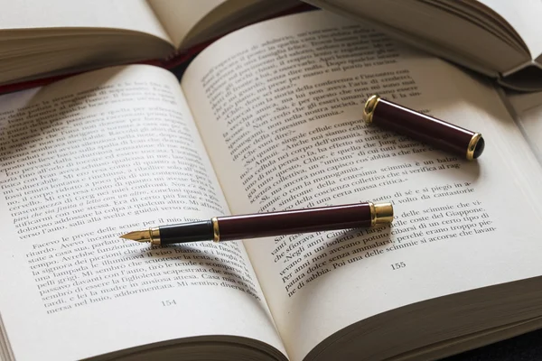 dolma kalem ile açık kitap