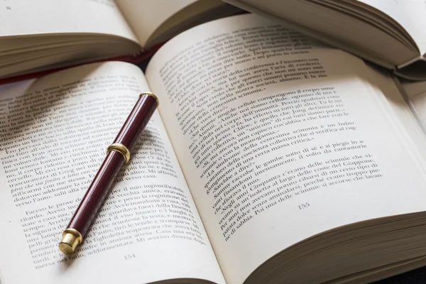 dolma kalem ile açık kitap