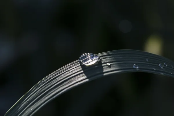 Gotas de agua — Foto de Stock