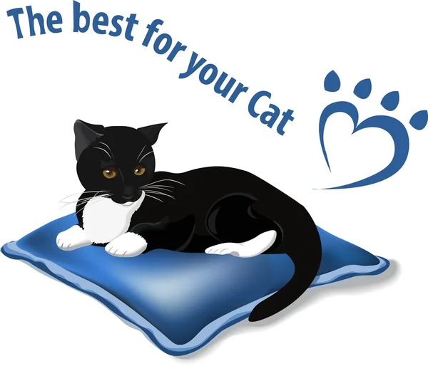 The best for your cat