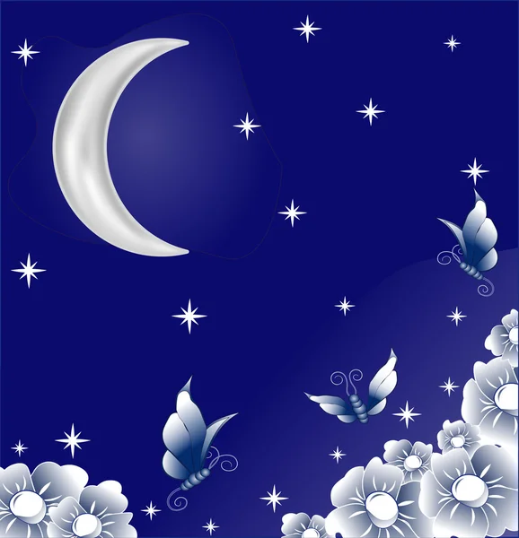 Magic night — Stock Vector