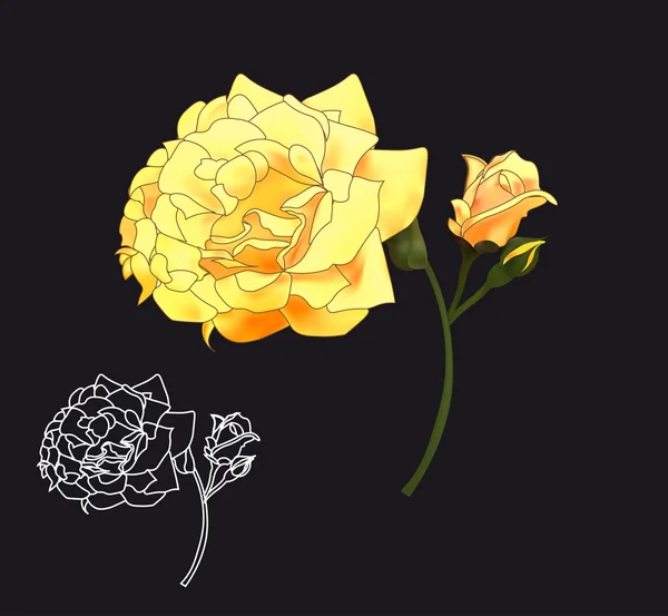 Beautiful  yellow rose — Stock Vector