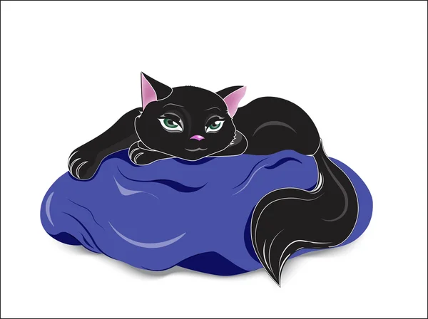 Preto gato no azul travesseiro —  Vetores de Stock