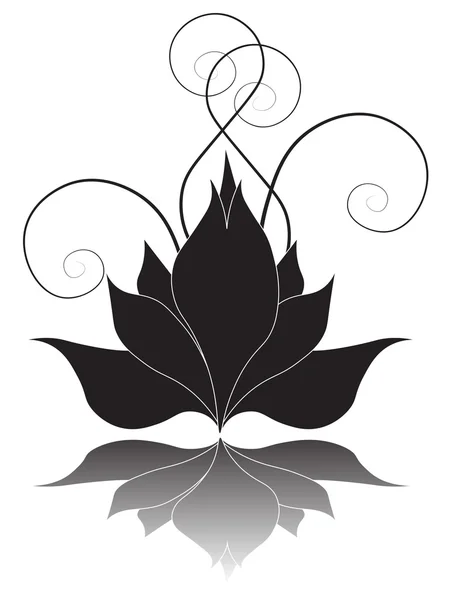 Flor de lirio negro — Vector de stock