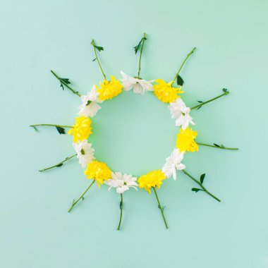 Pastel yeşil arka planda beyaz ve sarı çiçeklerden oluşan güneş ışığı çemberi. Asgari bahar kavramı.