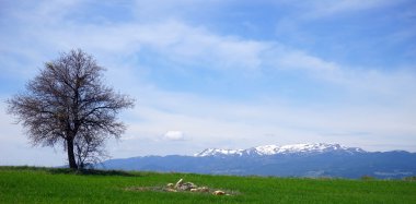 Türkiye'de karlı dağlar