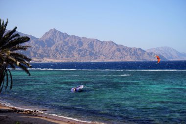 Kızıldeniz Dahab, Palm '