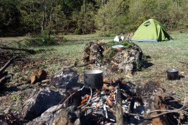 Bir çam ormanı, tencere, çadır kamp