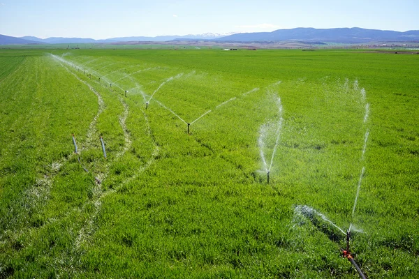 Sistema de irrigação agrícola — Fotografia de Stock