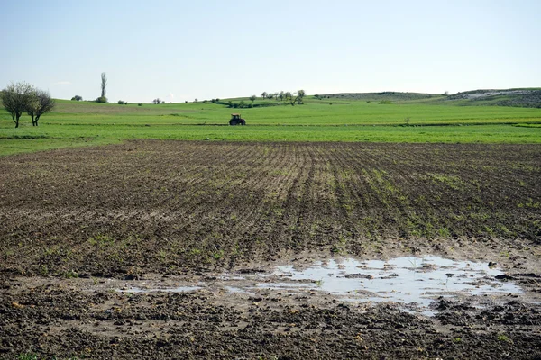 Arado campo inundado — Fotografia de Stock