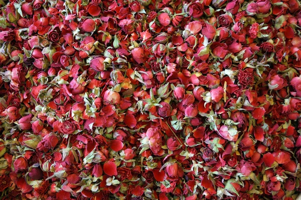 Dried rose buds — Stock Photo, Image