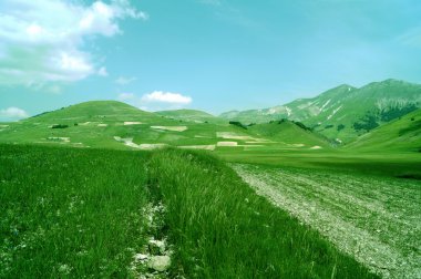 Castelluccio, Perugia, Umbria, İtalya