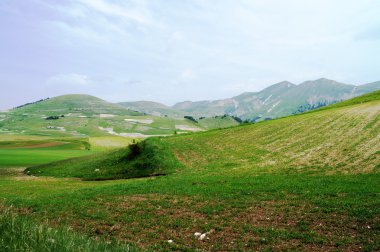 Castelluccio, Perugia, Umbria, İtalya
