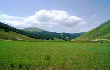 Castelluccio, Perugia, Umbria, İtalya