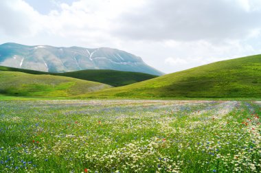 Castelluccio, Perugia, Umbria, İtalya