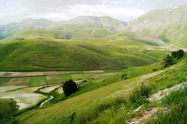 Castelluccio, Umbria, Spanyolország — Stock Fotó