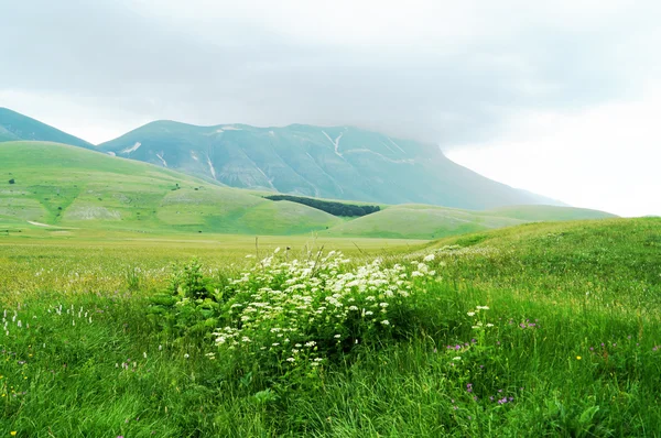 Castelluccio, Perugia, Umbria, Włochy — Zdjęcie stockowe