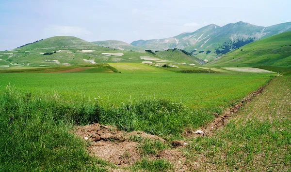 Castelluccio, Pérouse, Ombrie, Italie — Photo