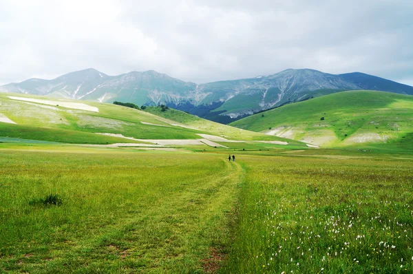 Castelluccio, Perugia, Umbria, Italia Foto Stock