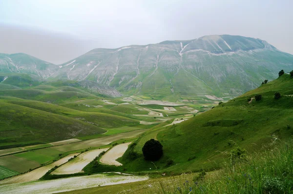 Castelluccio, Perugia, Umbria, Włochy — Zdjęcie stockowe