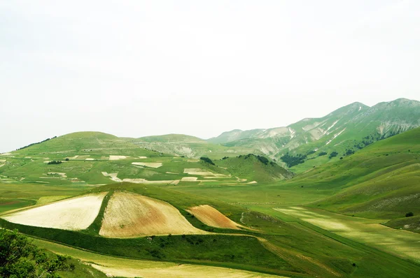 Castelluccio, Perugia, Umbria, Włochy — Zdjęcie stockowe