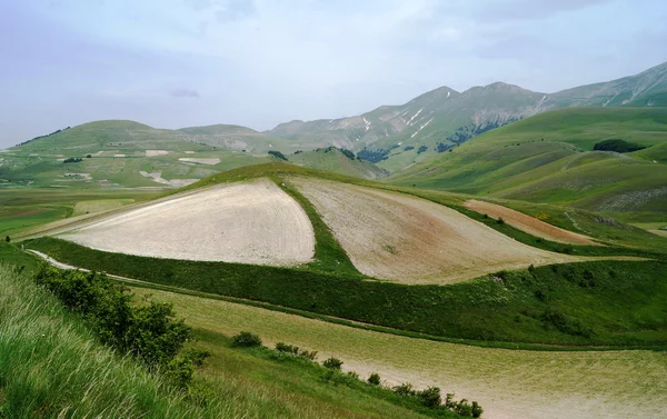 Castelluccio, Perugia, Umbria, Włochy — Zdjęcie stockowe