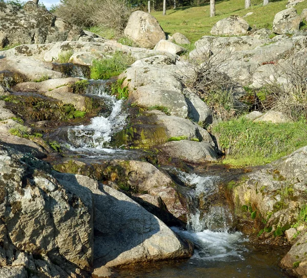 Pequena cachoeira na floresta — Fotografia de Stock