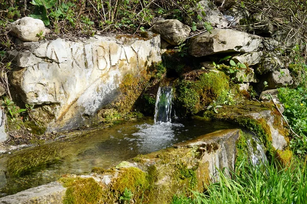 Пити джерело в лісах Туреччини — стокове фото