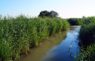 Su ile kanal