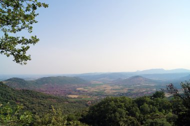 ağaçlar ve dağlar