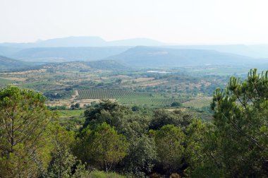 dağlar, üzüm bağları manzara