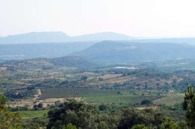 dağlar, üzüm bağları manzara