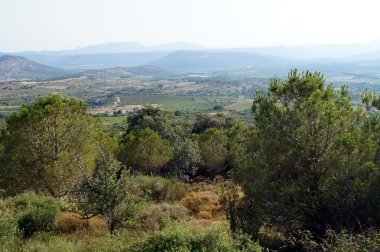 dağlar, üzüm bağları manzara