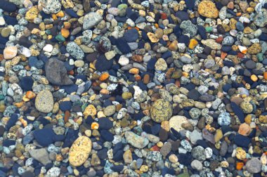 Okhotsk Denizi 'nin sularında çakıl taşları, Sakhalin Adası