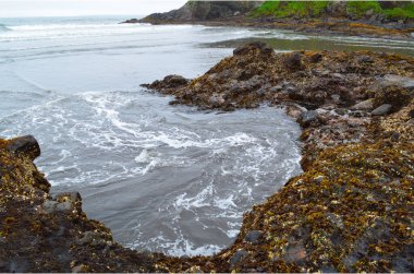Rocky Pasifik Sahili, Iturup Adası, Kuril Adaları