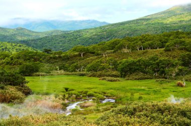 Volkanın eteğindeki fümerol alanı, Kuril Adaları, Iturup Adası.