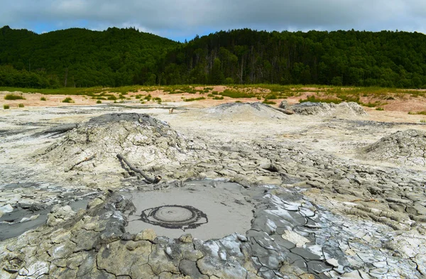 Sakhalin Adası 'nda bir çamur yanardağının kalıntıları.