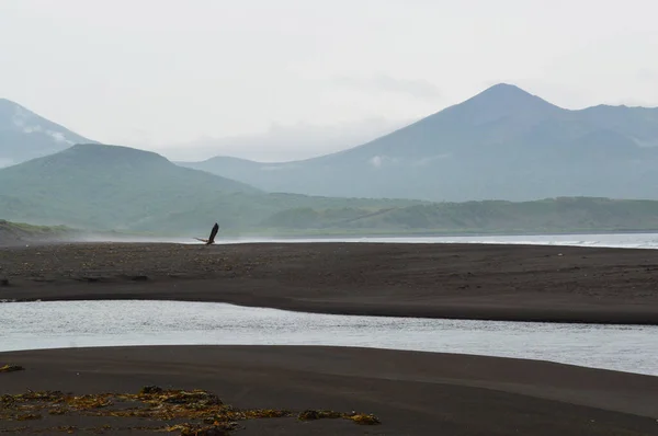 Pacifische Kust Bij Bewolkt Weer Iturup Island Kuril Eilanden — Stockfoto