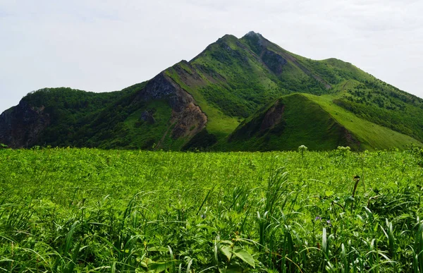 Okhotsk, Tikhaya Körfezi, Sakhalin Adası kıyısındaki dağın etekleri.