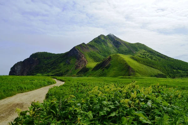 Okhotsk, Tikhaya Körfezi, Sakhalin Adası kıyısındaki dağın etekleri.