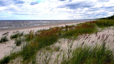 Letonya, Jurmala 'daki Baltık Denizi' nin kumlu kıyıları