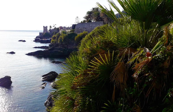 Skalnatá Promenáda Palmami Parku Nervi Janov Itálie — Stock fotografie