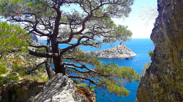 Novy Svet köyünden Karadeniz kıyısındaki Karaul-Oba dağına, oradan da Tsarskoye plajına ve oradan da Ukrayna 'nın Kırım kentindeki bir ardıç korusuna giden yol. Cape Kapchik ve Golitsyn Patikası Görünümü.