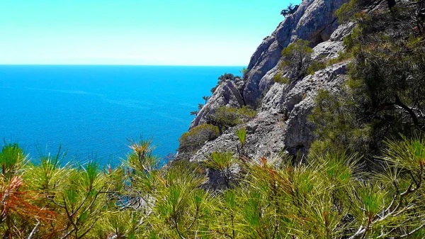 Novy Svet köyünden Karadeniz kıyısındaki Karaul-Oba dağına Tsarskoye plajı boyunca uzanan patika ve ardıç korusu, Kırım Cumhuriyeti, Ukrayna
