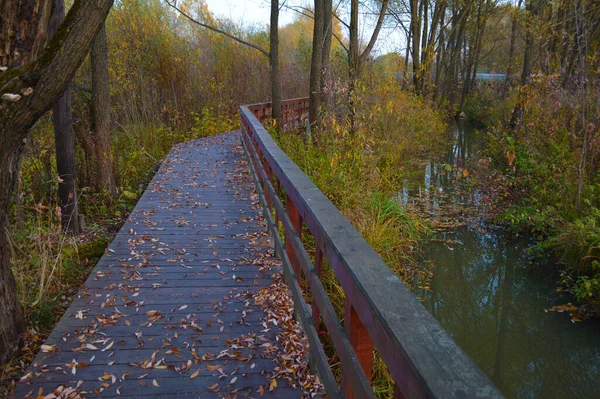 Pont Bois Dans Parc Automne Étendant Loin Travers Une Rivière — Photo