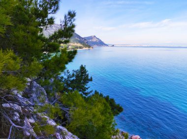 Türkiye 'deki Akdeniz manzarası, Beldibi köyündeki kayalar, dağlar, çam ağaçları ve çiçekler
