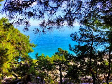 Türkiye 'deki Akdeniz manzarası, Beldibi köyündeki kayalar, dağlar, çam ağaçları ve çiçekler