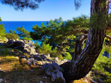 Türkiye 'de Akdeniz manzarası, Beldibi köyünde kayalar, dağlar ve çam ağaçları