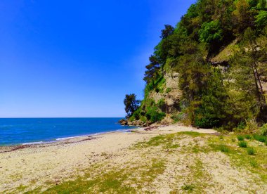 Pitsundo-Musser Doğa Koruma Alanındaki Karadeniz kıyısı, Stalin ve Gorbaçov 'un köşkü, Abhazya.